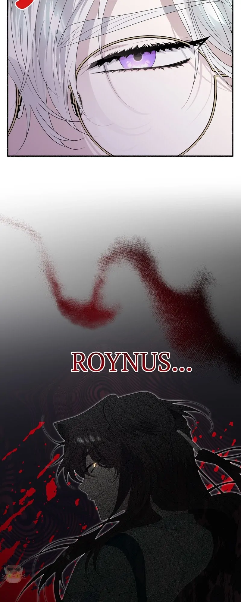 47534940 800 2000 131564