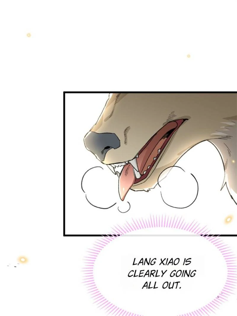 81494761 800 1067 38910